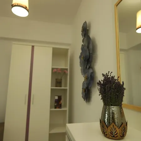 Apartment Violet Summerland Mamaia